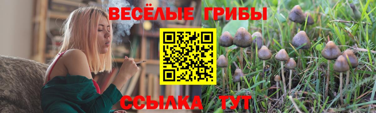 Галлюциногенные грибы Psilocybine cubensis Магнитогорск